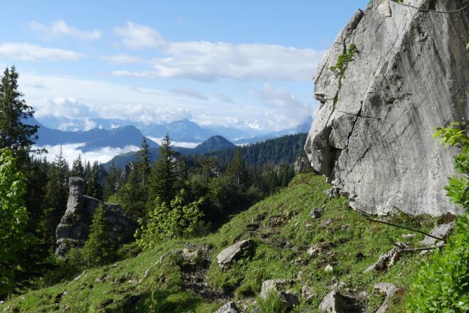Störungsfläche an einem Block von Wettersteinkalk