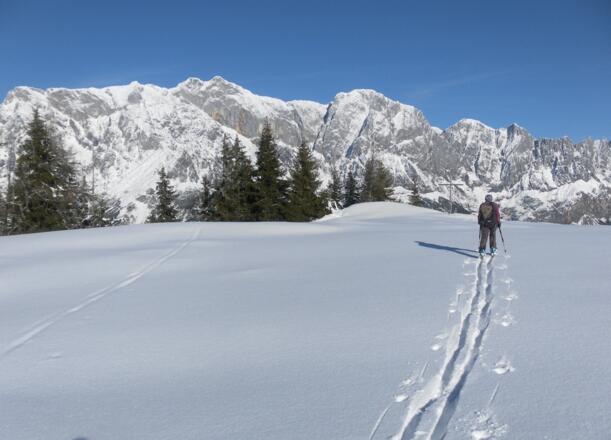 Hochkönig aus der Schneeberg Gipfelkuppe