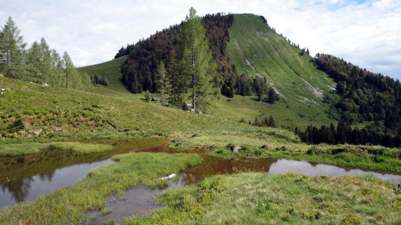 Lacken 2300 m mit Faistenauer Schafberg