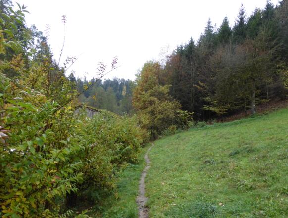 schöne Pfade