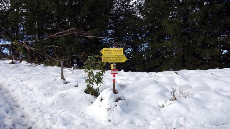 1300 m Gratkamm, links weiter