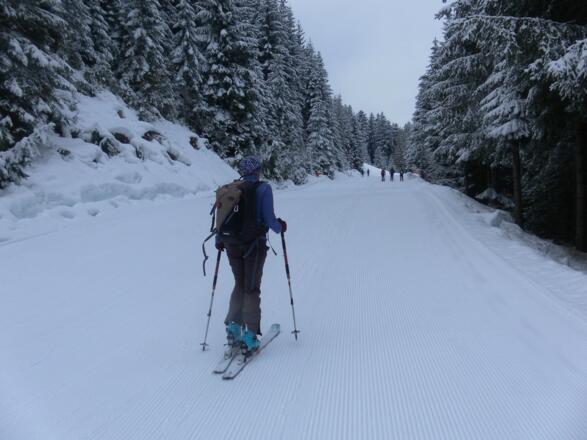 Start auf der milden Variante der (er Piste
