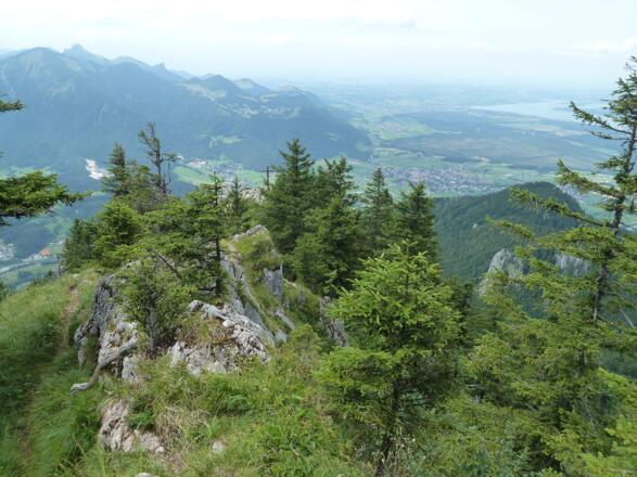 Blick zum Hochlerch 1561m