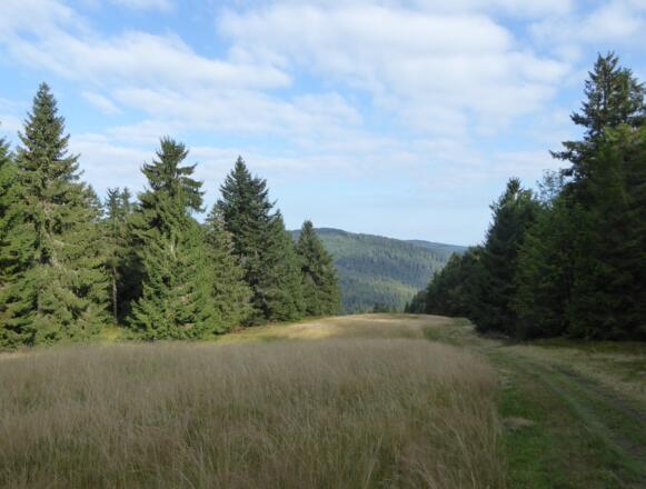 Skipiste mit Aussicht auf den Pröller
