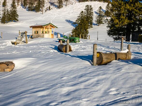 An der Staffn-Alm gibt es für Kinde viel zu entdecken.