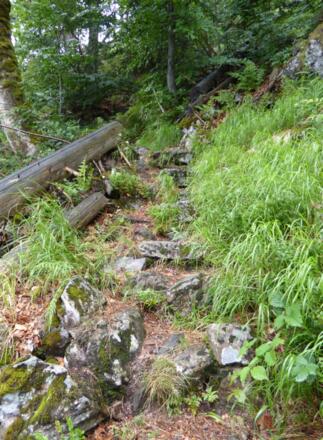 "Rachelsteig" - steinig