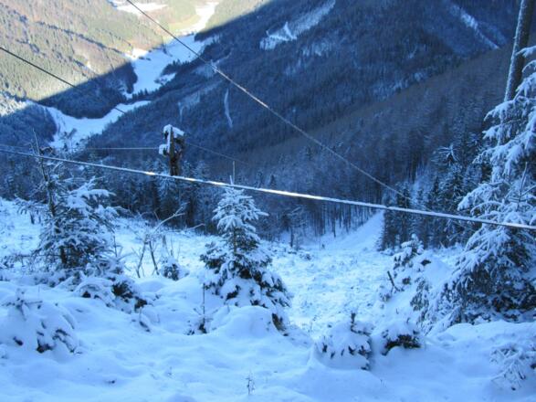 Abholzungsbereich kurz vor der Steilpassage nach dem Haitzmanneck