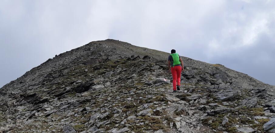 Noch knapp 100 unschwierige Höhenmeter am Kamm zum Rosenjoch-Gipfel.
