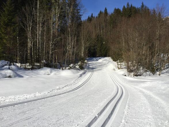 Auffahrt aus Bachbett