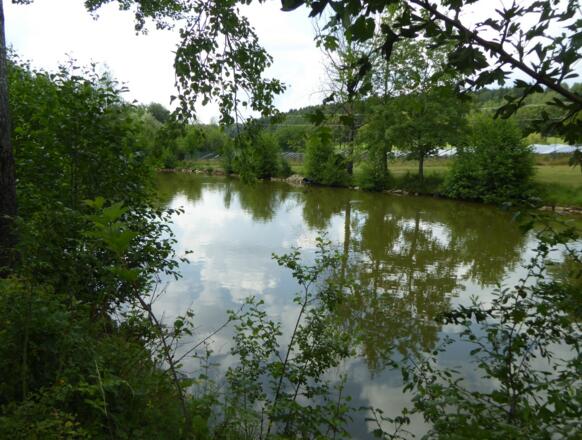 Weiherlandschaft im Köstlbachtal