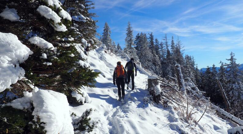 Am Gratweg retour zum Ostgipfel