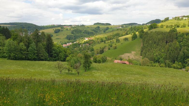 Kleinramingtal (vom Ausläufer des Dambergrückens aus gesehen)