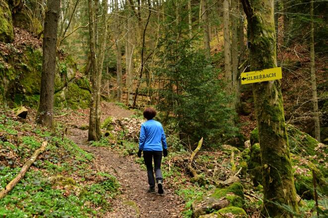 Die Abzweigung nach Silberbach ist nicht zu übersehen