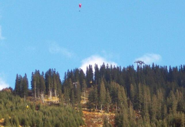 Fewo Löffler   Haus Tina