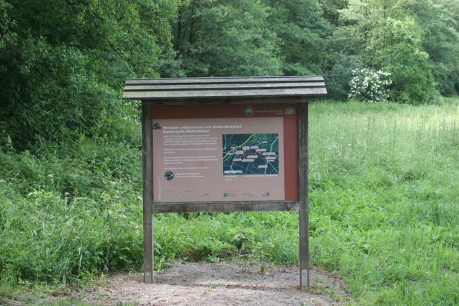 Starttafel Bodenlehrpfad Kalchenreuth-Wolfsfelden