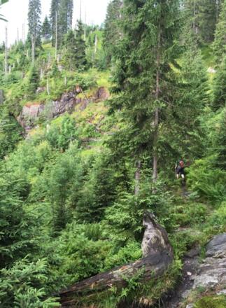 "Rachelsteig" - steinig