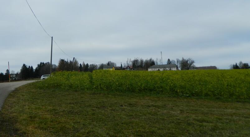 die ersten Häuser von Kirchschlag