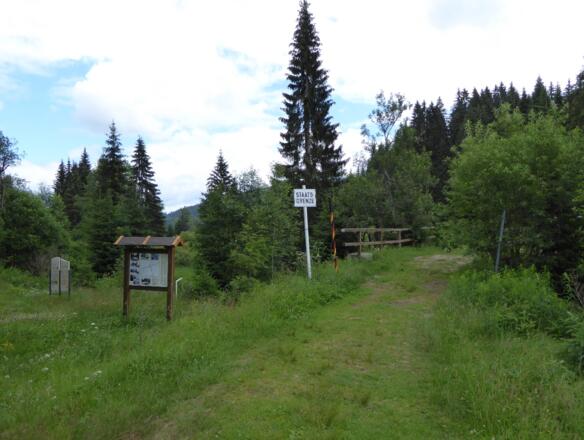 Grenzübergang bei Bischofsreut