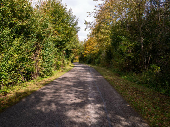 Zwischen Dietenhausen und Thalham