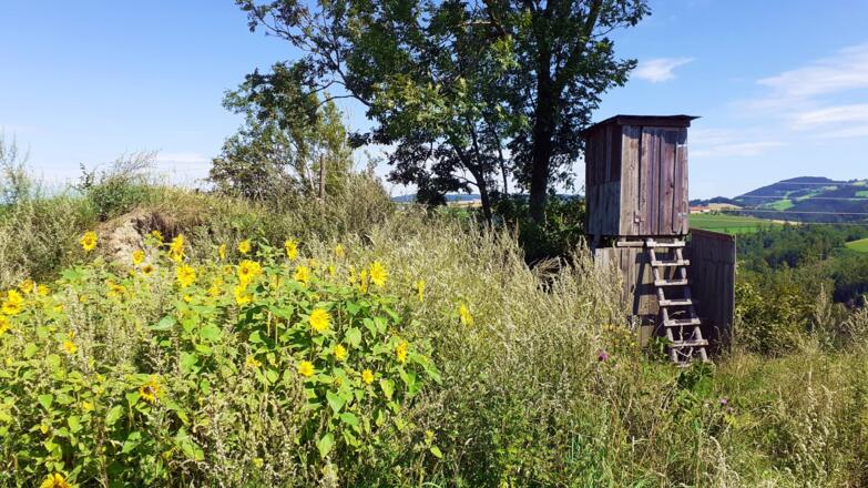 Hier rechts des Jagastandes Abstieg zur Ruine, nur für Bergsteiger.