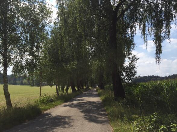 Richtung Reith - Falkenberg