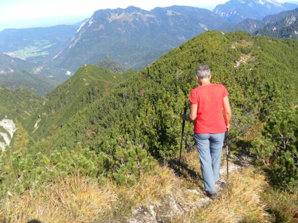Fahsteigenschneid vor Rauschberg