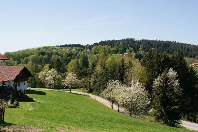Blick von Notzling nach Westen