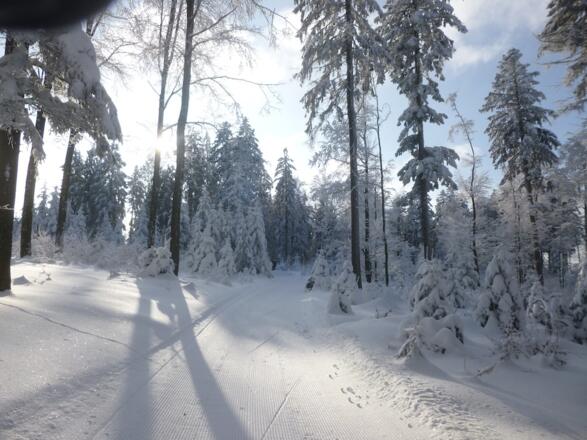 Flachstück auf den Margaretenhängen