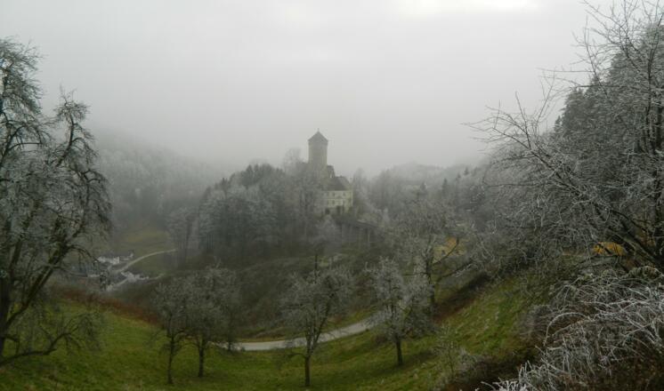 die Burg Wildberg taucht auf