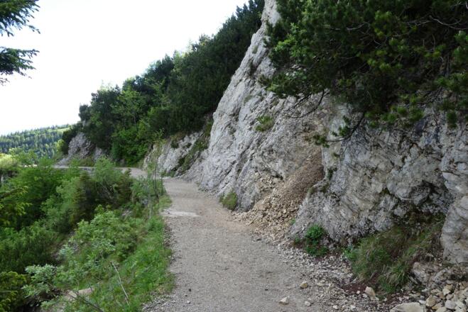 Kalksteine und Dolomite der Raibl-Formation