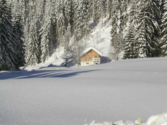 Wintersonne
