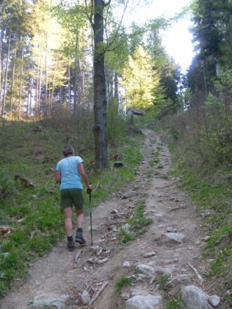 bei der oberen Glasherrnalm