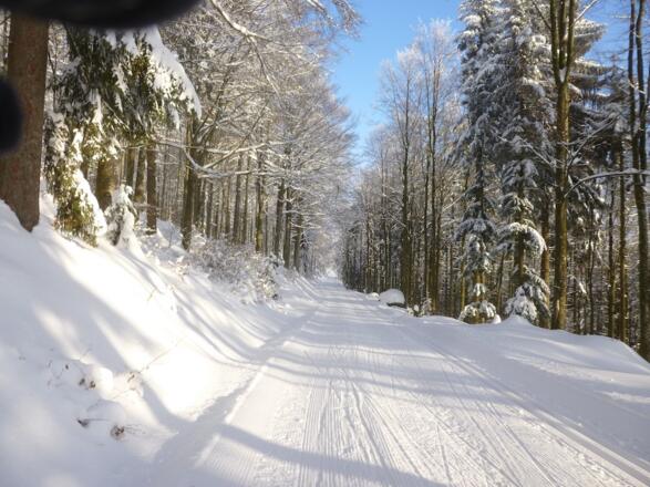 Flachstück auf der Südseite der Margaretenhänge