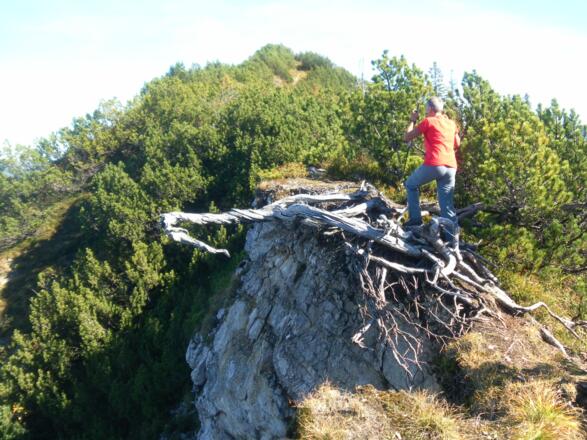 am Weg zum Wildalphorn