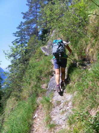 Hühnerleiter