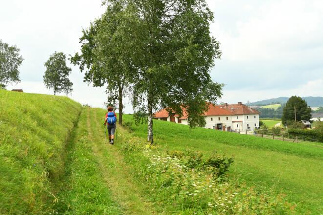 Wir befinden uns bereits oberhalb von Pierbach