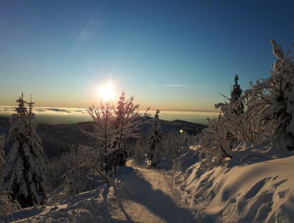 Winderwonderland am Lusen