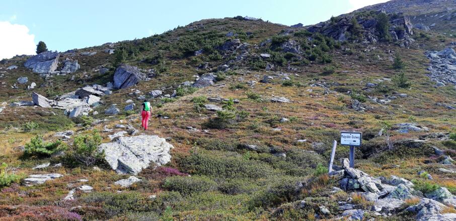 Wegkreuzung und Hinweisschild auf ca. 2180 m: "Malgrübler Gratweg".