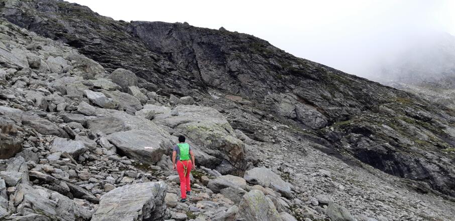 ... und Schotter bilden zunehmend den Untergrund.