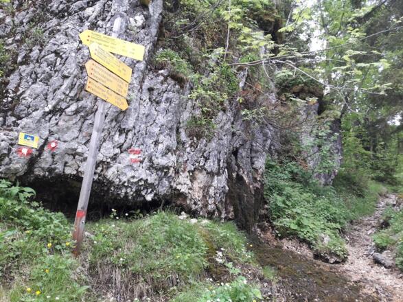 Kreuzung - hier geht es auf dem "Almgenuss"-Weg an der Felswand hoch zum Schuhmacherkreuz