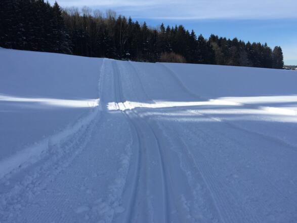 Die Abfahrt hat es in sich.