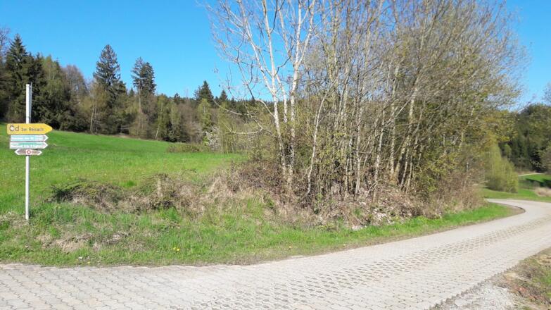 Kreuzung in Hungerszell - hier geht rechts nach Öd