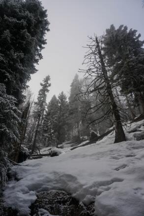 Der Panoramaweg umrundet den Gipfelaufbau des Hochkopfs
