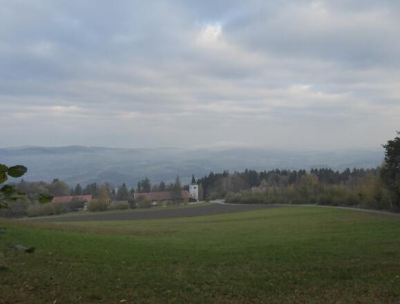 Blick vom Gallner
