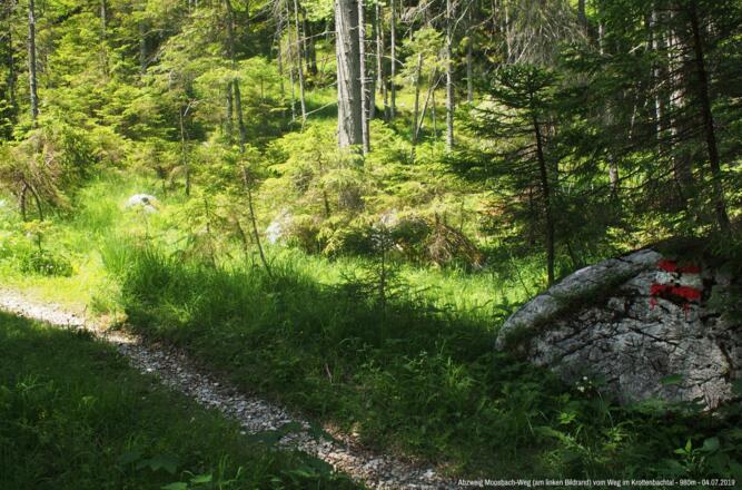 Abzweig (linker Bildrand) vom Krottenbach- ins Moosbachtal.