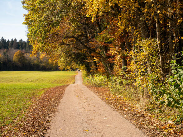 Die Tour führt überwiegend auf kleinen Teerstraßen