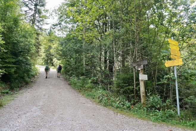 Weg zur Zwerchen- und Klausenbergalm