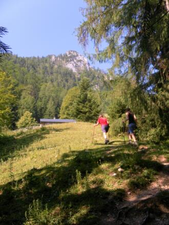 Dürntalalm