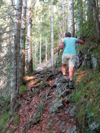 schmaler Steig