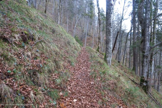 Am Wanderweg bergab und bergauf